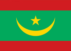 ë�����၆��(gu��)��